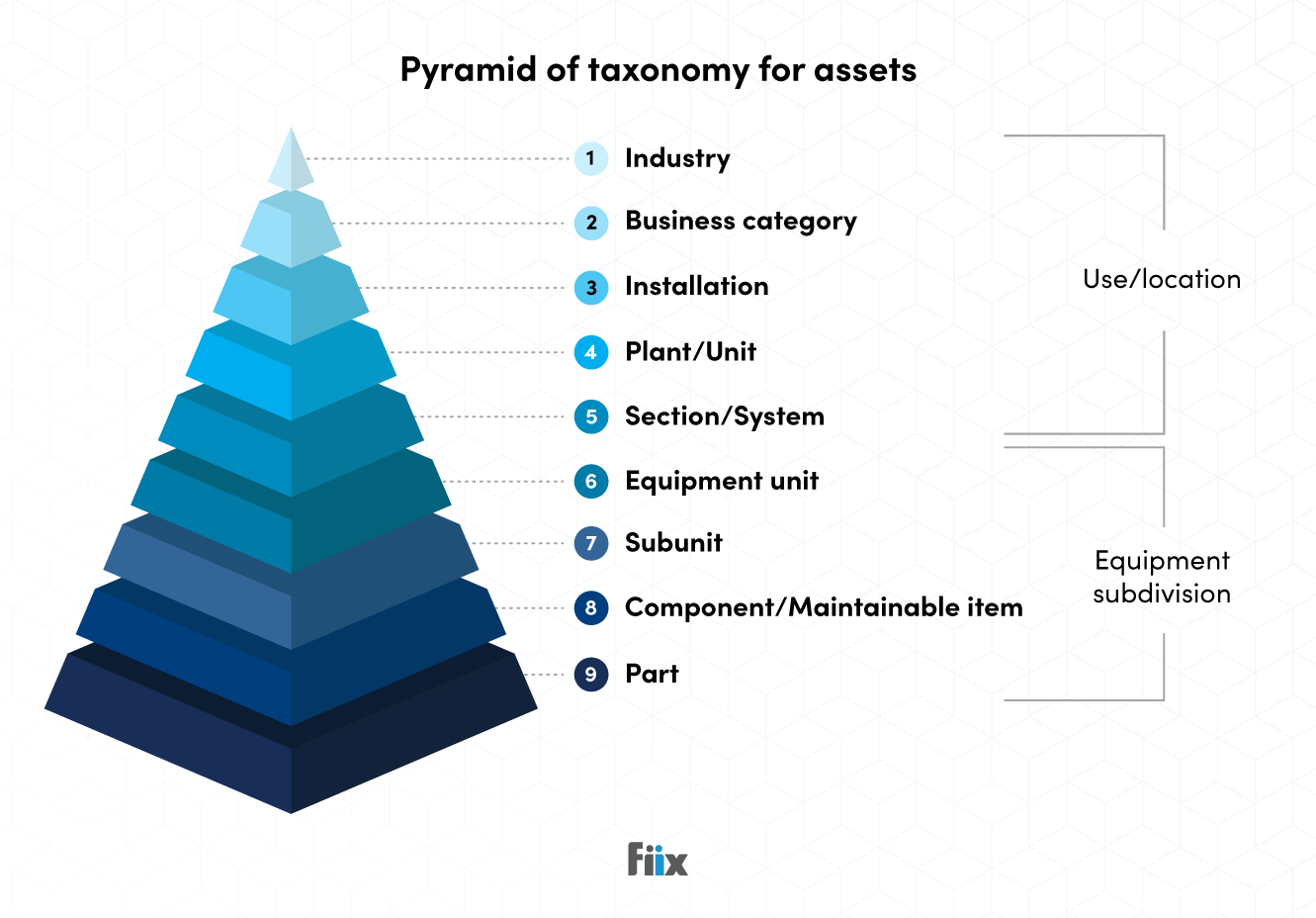 Pyramid of taxonomy assets